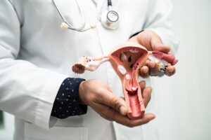 Profissional de saúde segura modelo anatômico do sistema reprodutor feminino, com útero, ovários e trompas.
